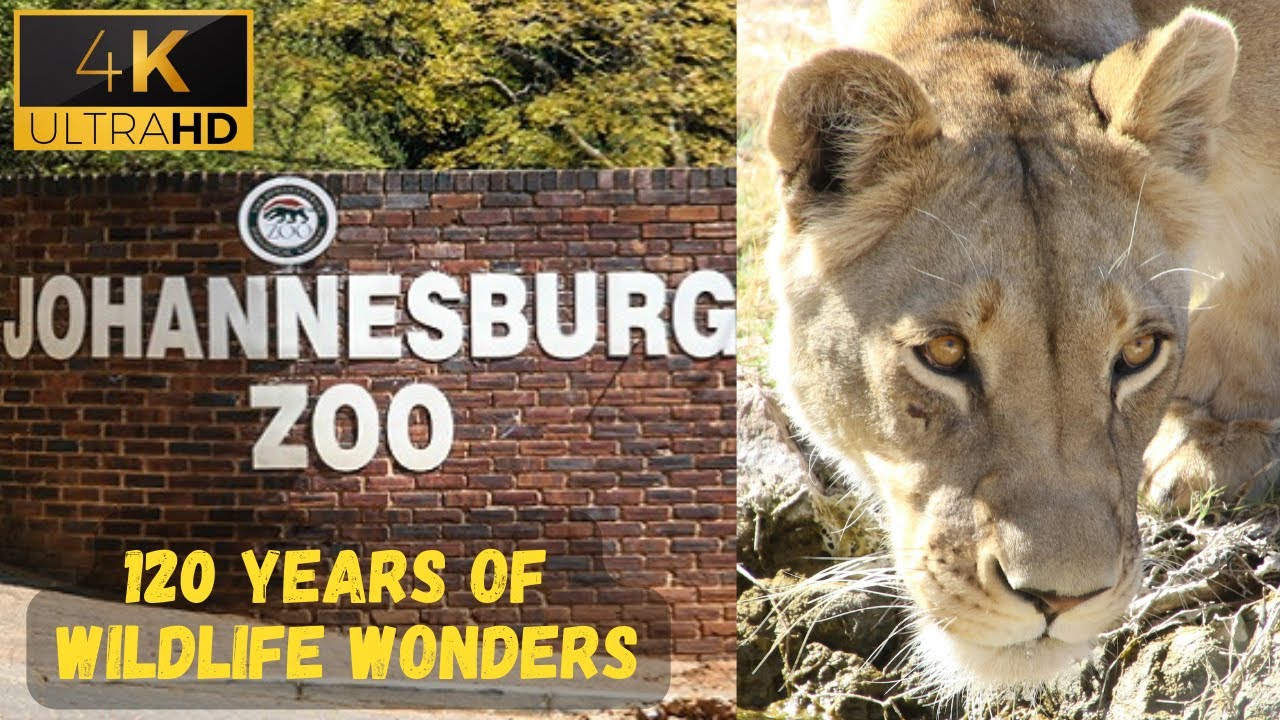 Johannesburg Zoo | Space for Nature #zoo #joburgzoo #animal