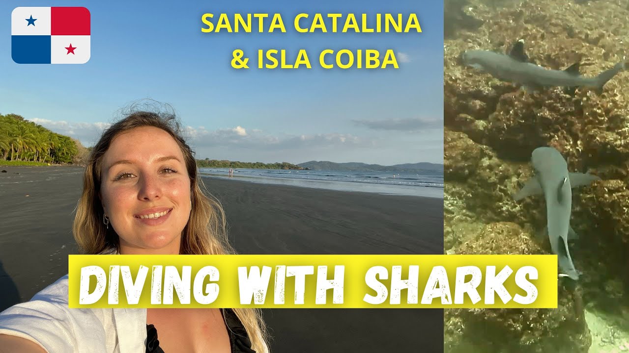Santa Catalina & Diving with Sharks on Coiba Island | Central America Vlog 3