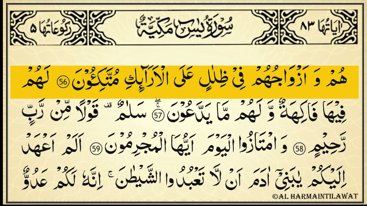 4 Surahs For Every Need: Yasin, Ar-Rahman, Al-Waqiah & Al-Mulk | Full Recitation | Al Haramain