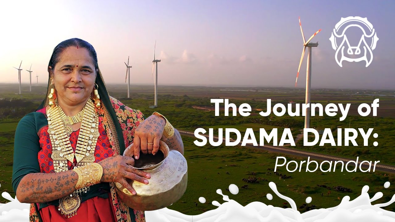 Sudama Dairy: A Cooperative Tale of Porbandar's Green Heart | #farmersfirst #amulindia #DairyJourney