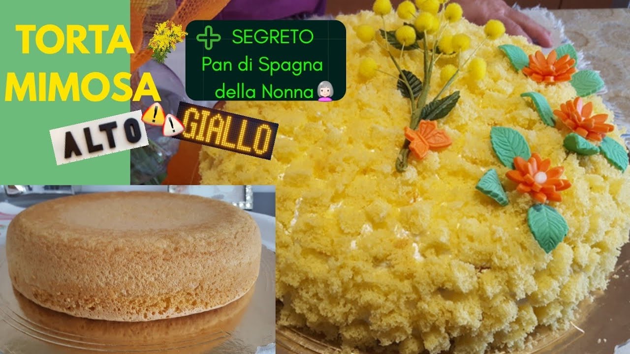TORTA 🌾 MIMOSA ➕ SEGRETO Pan di Spagna della Nonna 👵 ALTO e GIALLO❗