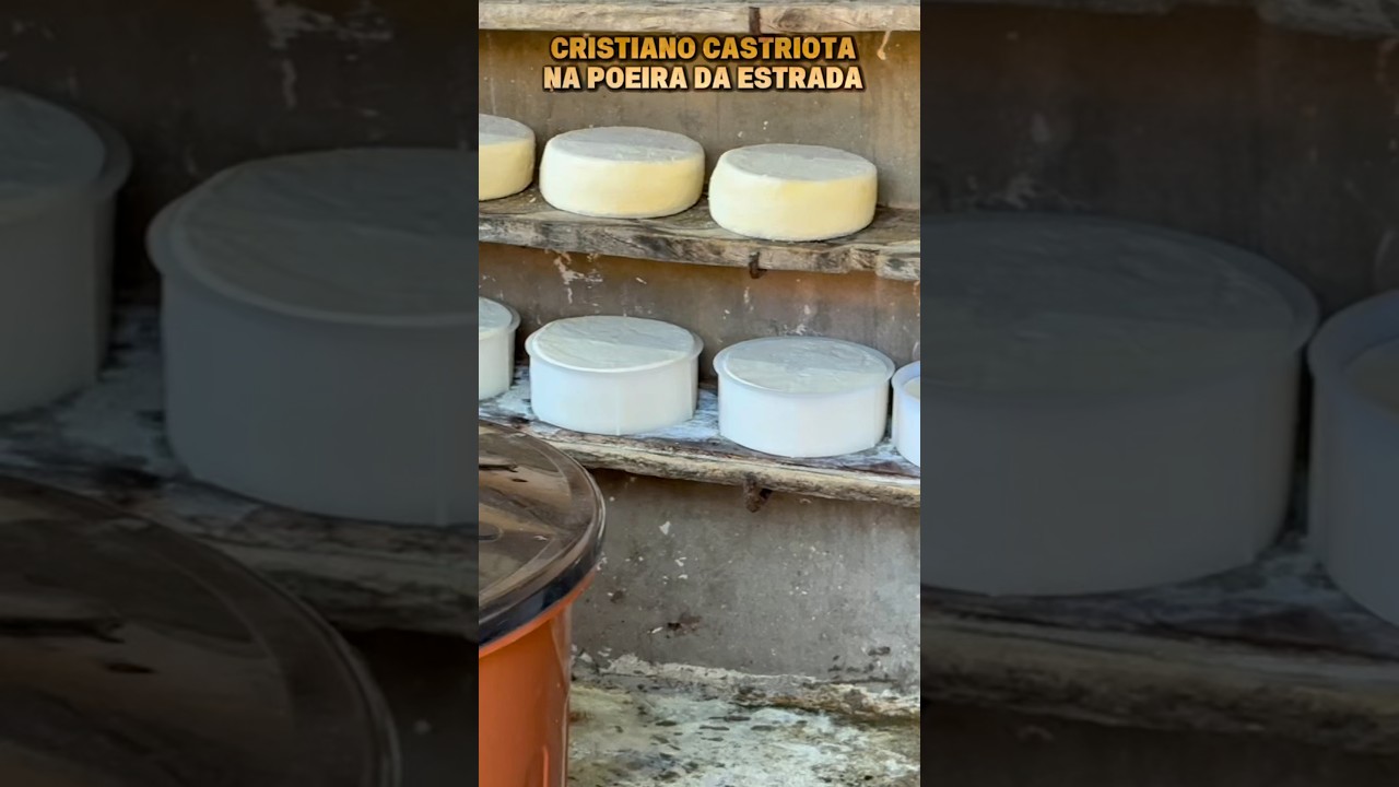 J&aacute; ouviram falar em queijo merendeiro?  #vidanaro&ccedil;a #leite #sitio #vidanocampo #canastra #queijo
