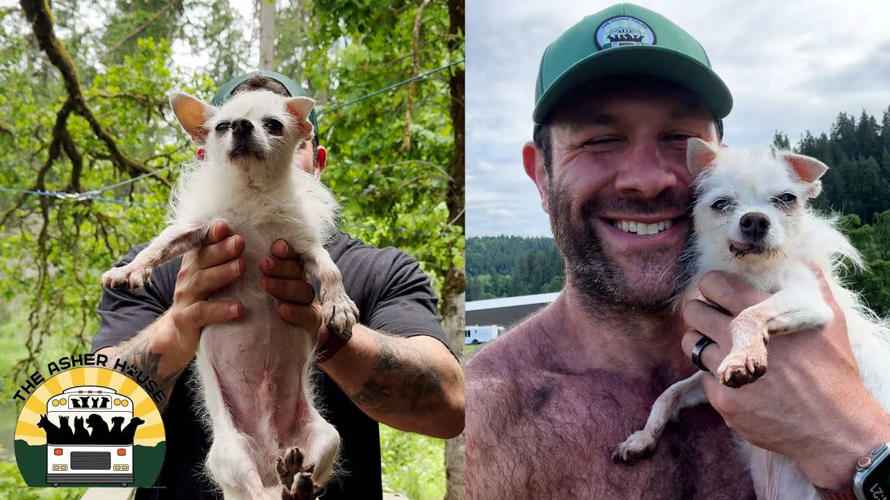 Jefe is the boss around here and I'm just merely his employee | The Asher House