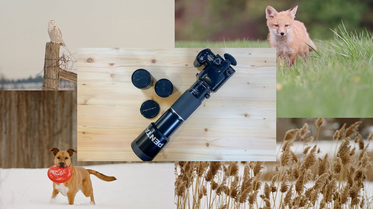 Pentax 645 400mm f5.6. Not Your Typical Telephoto Lens!