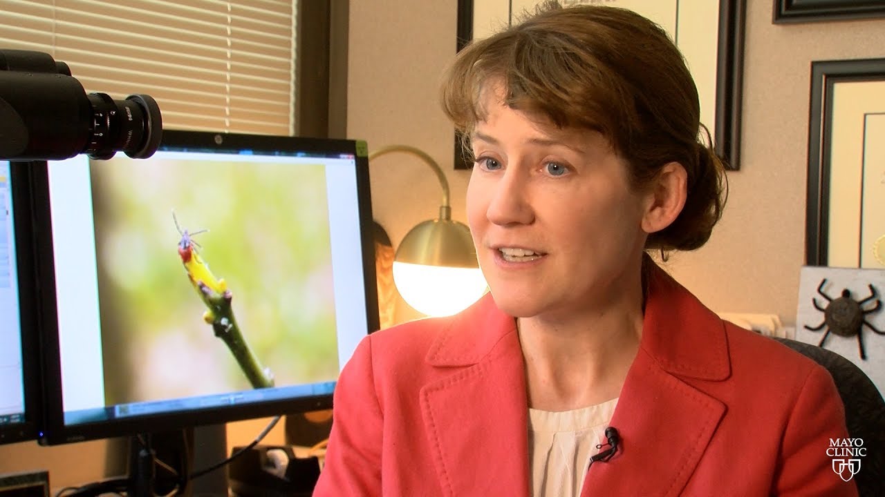 An uptick in vector borne disease and what it means to you