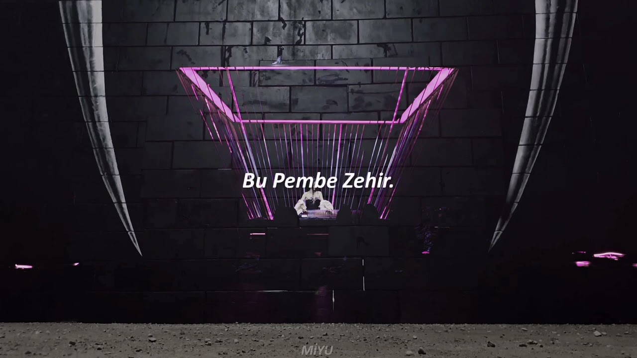 BLACKPINK - Pink Venom (Türkçe Çeviri)