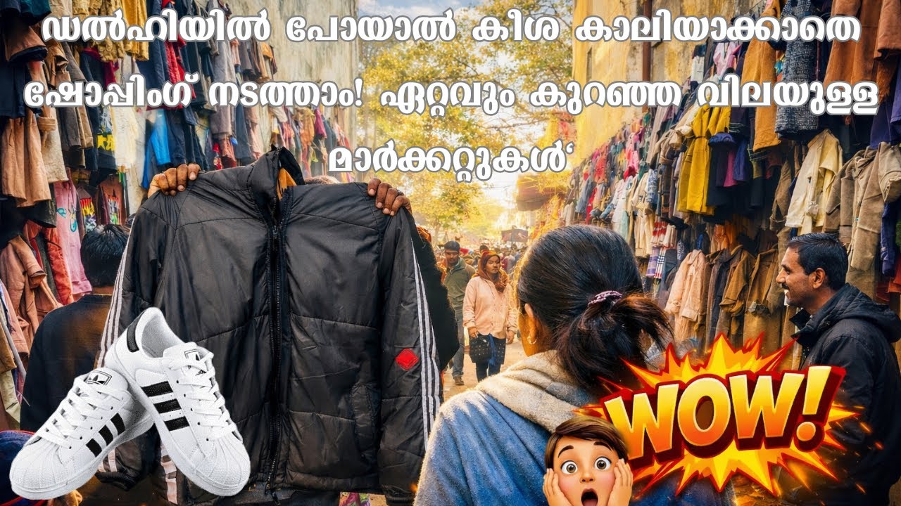 Sarojini Market Delhi | ചീപ്പ് ഷോപ്പിംഗിന്റെ സ്വർഗം 🛍️ | Travelogues of vaisakh 