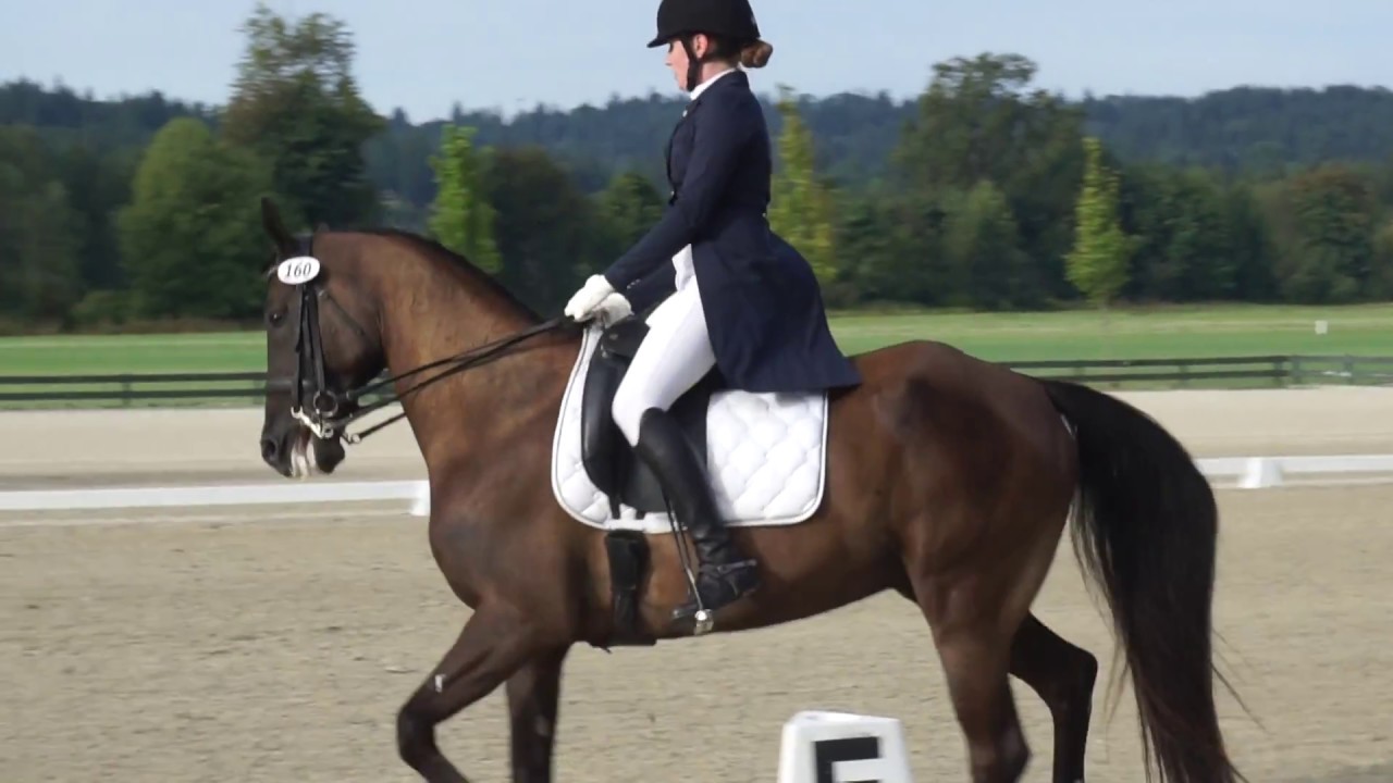 Idiopathic Stringhalt - One Year Progress