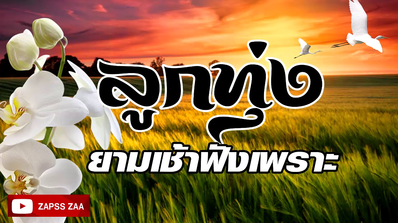 เพลงลูกทุ่งยามเช้าฟังเพราะสบายๆ
