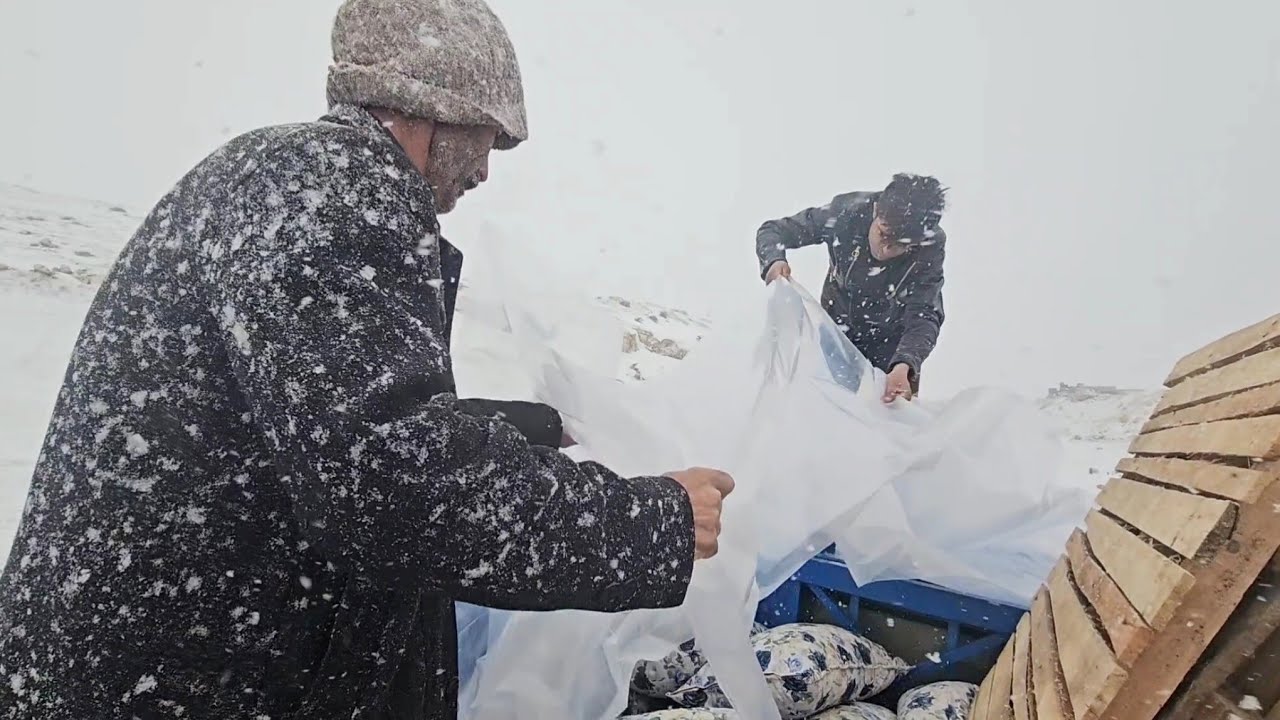 Caught in a Blizzard! ❄️ Ali and Kamal's Dangerous Journey to Save the House Materials 🏔️🚛