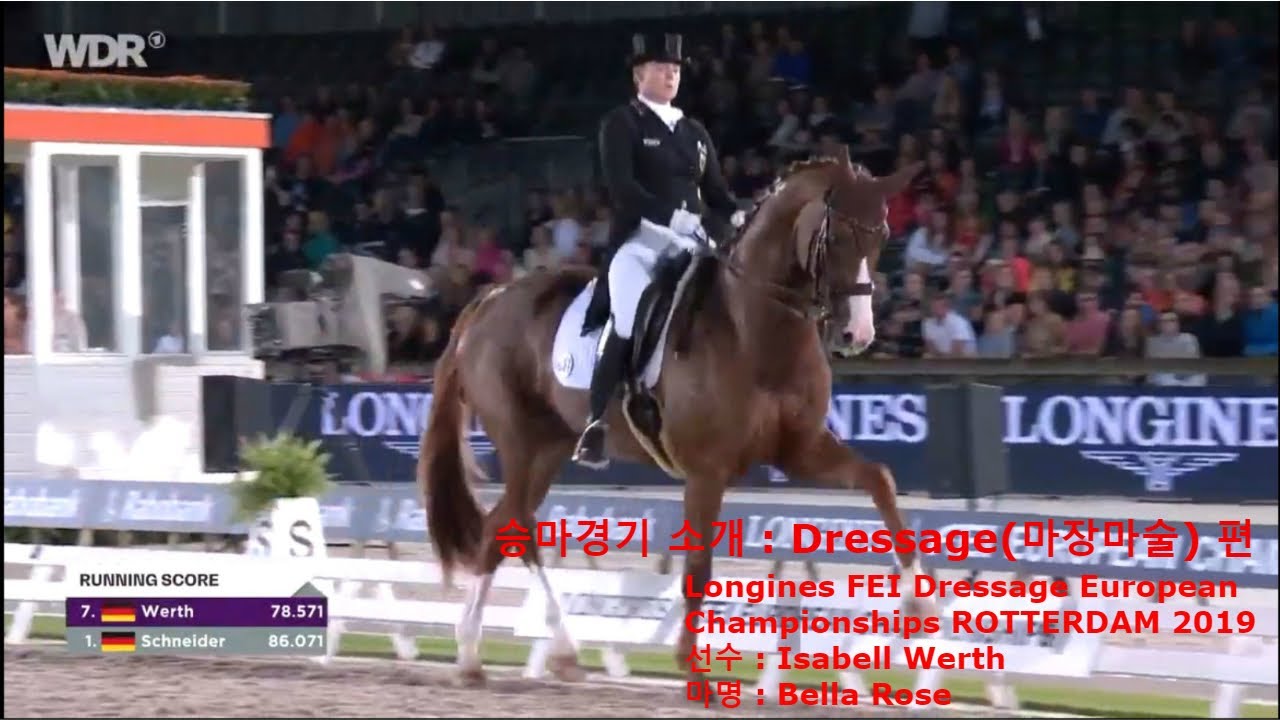승마경기 소개 : Dressage(마장마술) #1