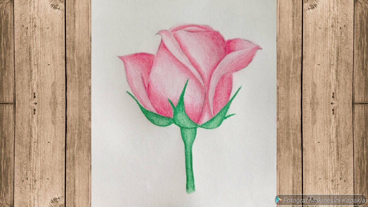 Pembe gül çizimi ve boyama teknikleri ✍️ How to draw rose