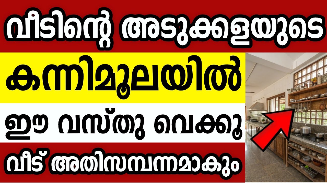 കന്നിമൂലയിൽ ഈ ഒരു വസ്തു വെച്ചാൽ സമ്പത്ത് ഇരട്ടിക്കും,കടവും ദുരിതവും ഉണ്ടാവില്ല vastu tips