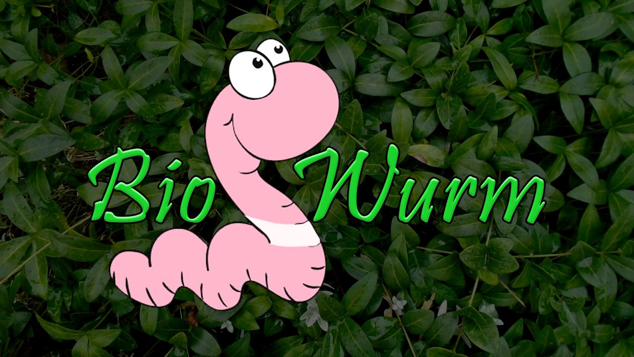 Wurmkiste selbst bauen 3/4 mit diversen Informationen