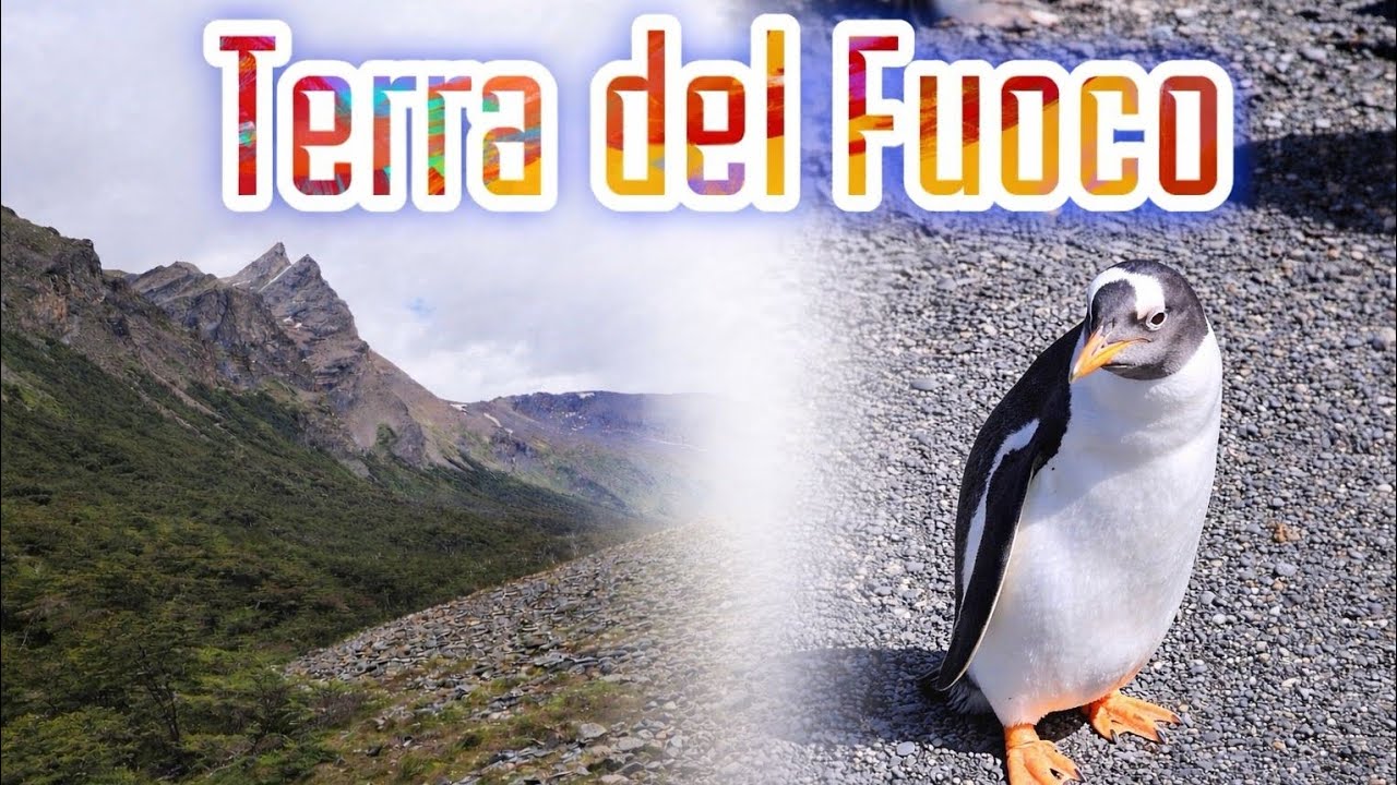 GIRO DEL MONDO🌎 CIRCONDATO DAI PINGUINI - USHUAIA TIERRA DEL FUEGO