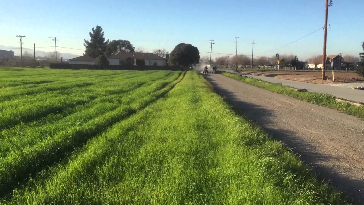 3 wheeler drag race