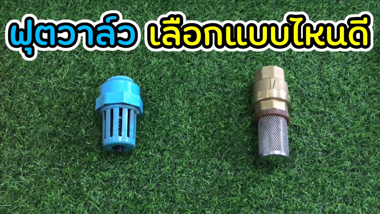 ฟุตวาล์ว เลือกแบบไหนดี