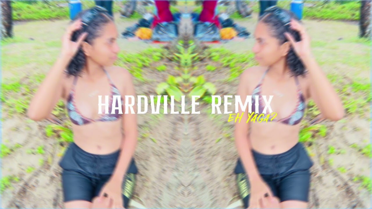 Ting Tong _ Cevu Se Cavu ( Hardville Remix ) 2x25