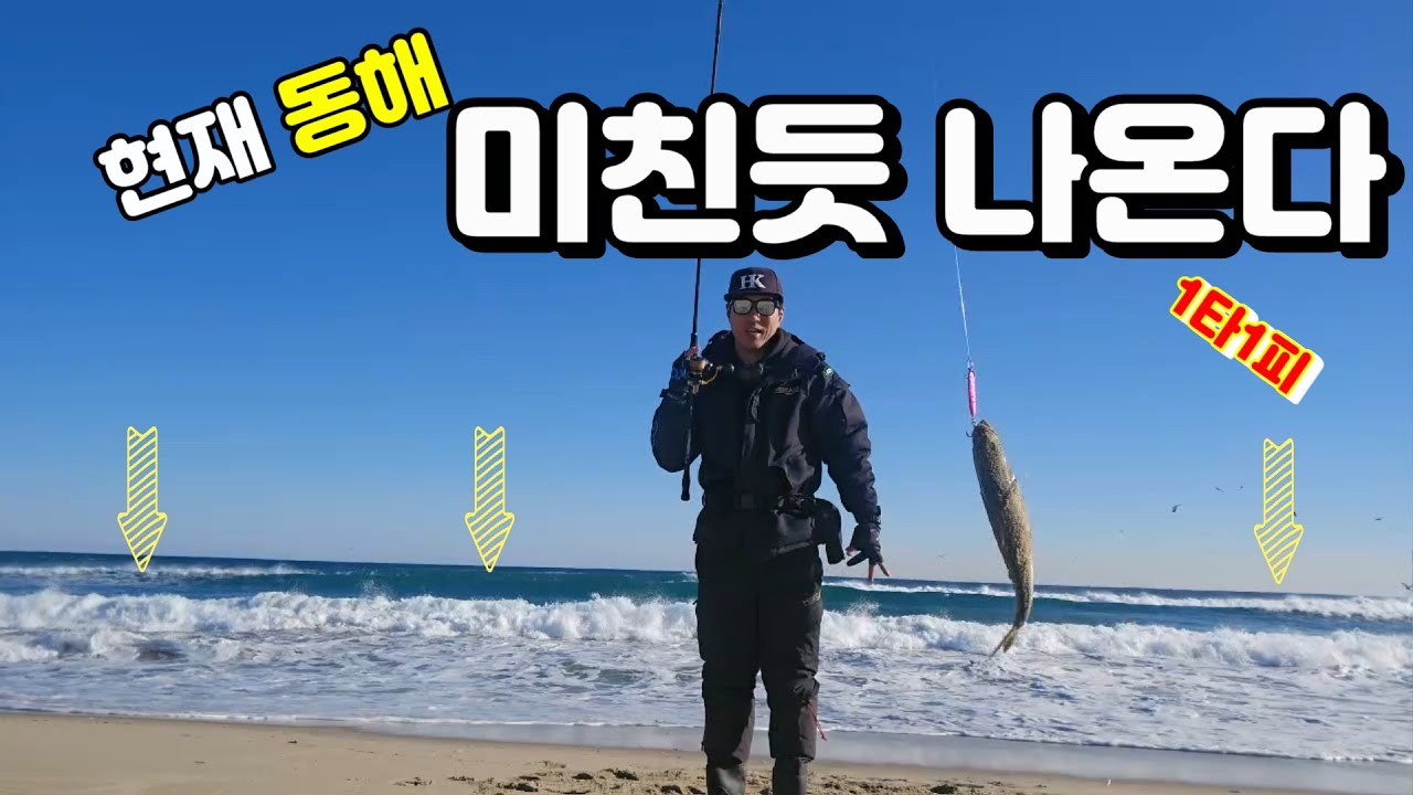지금 동해가 난리났습니다 던지면 1타1피라는데