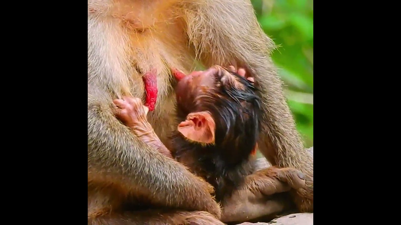 Jane and baby 