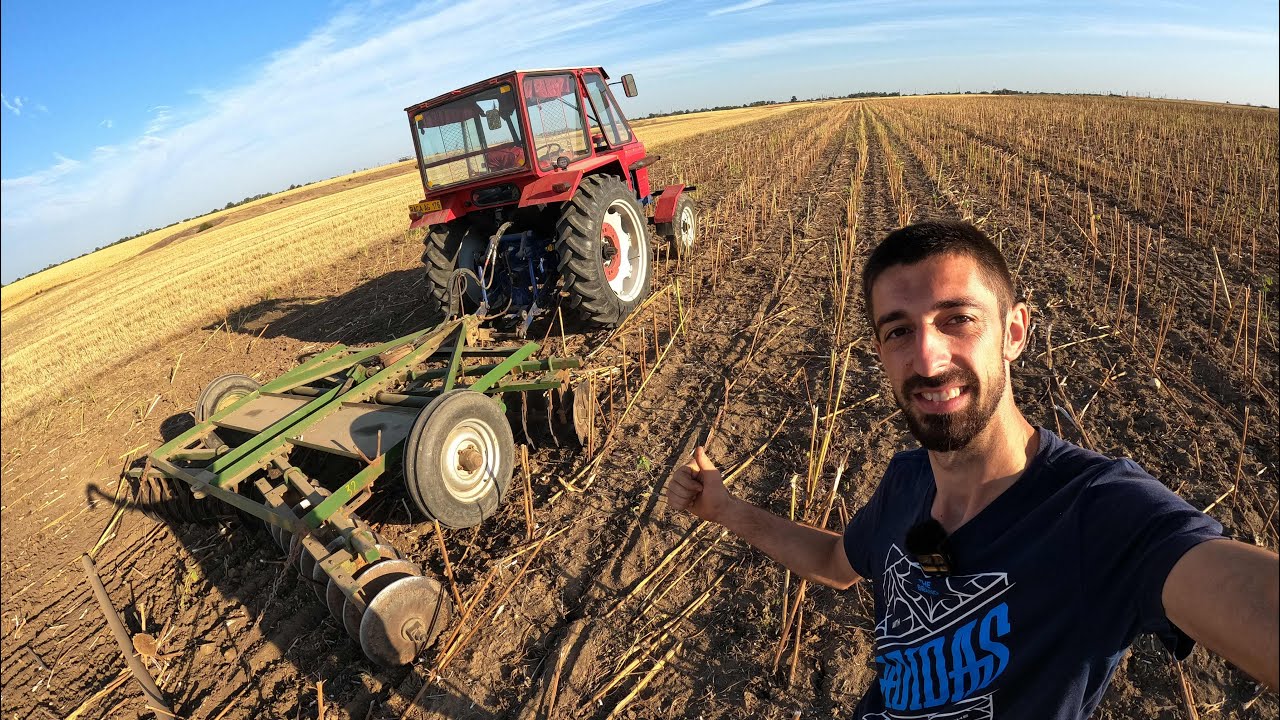 SELECTEZ GRÂUL PENTRU SEMĂNAT + TOC BEȚELE DE FLOAREA SOARELUI