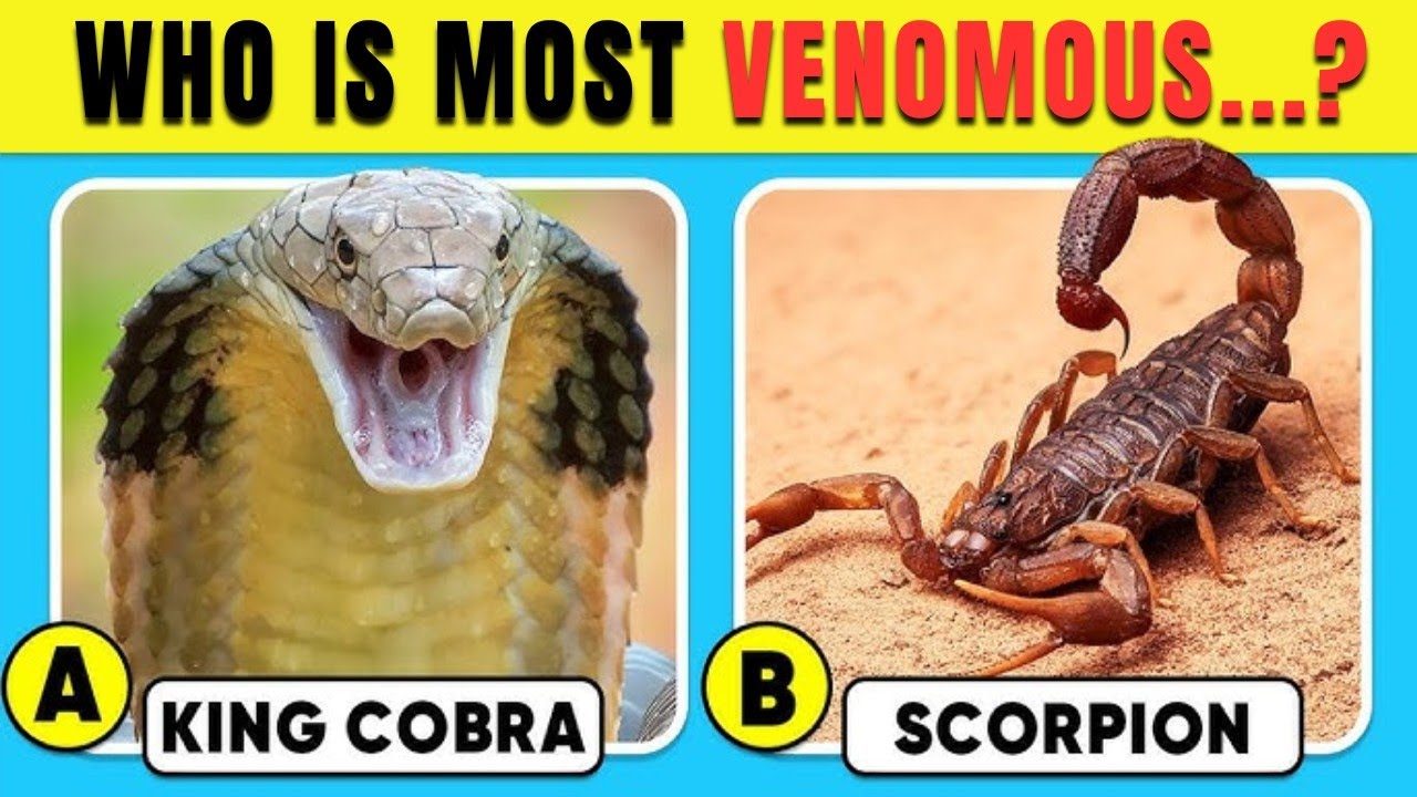 How Good Is Your Knowledge of ANIMALS? 🐍🦂✅ General Knowledge Trivia Quiz