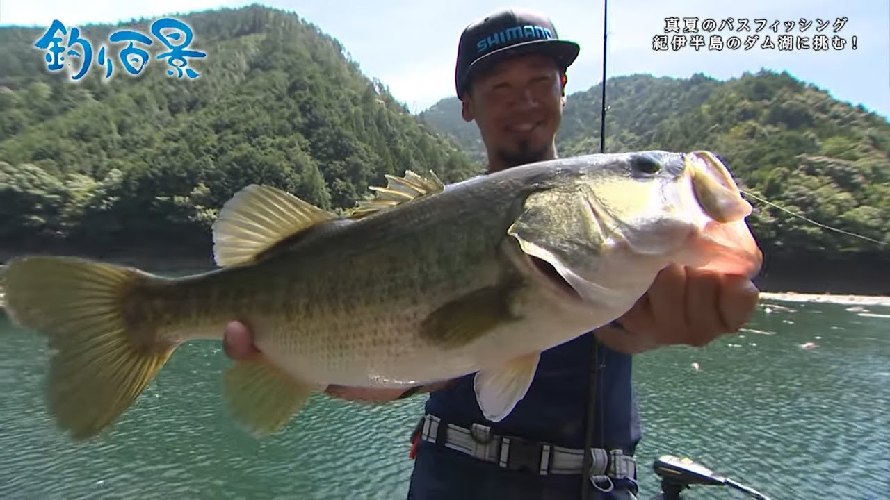 【釣り百景】#354 真夏のバスフィッシング 紀伊半島のダム湖に挑む！