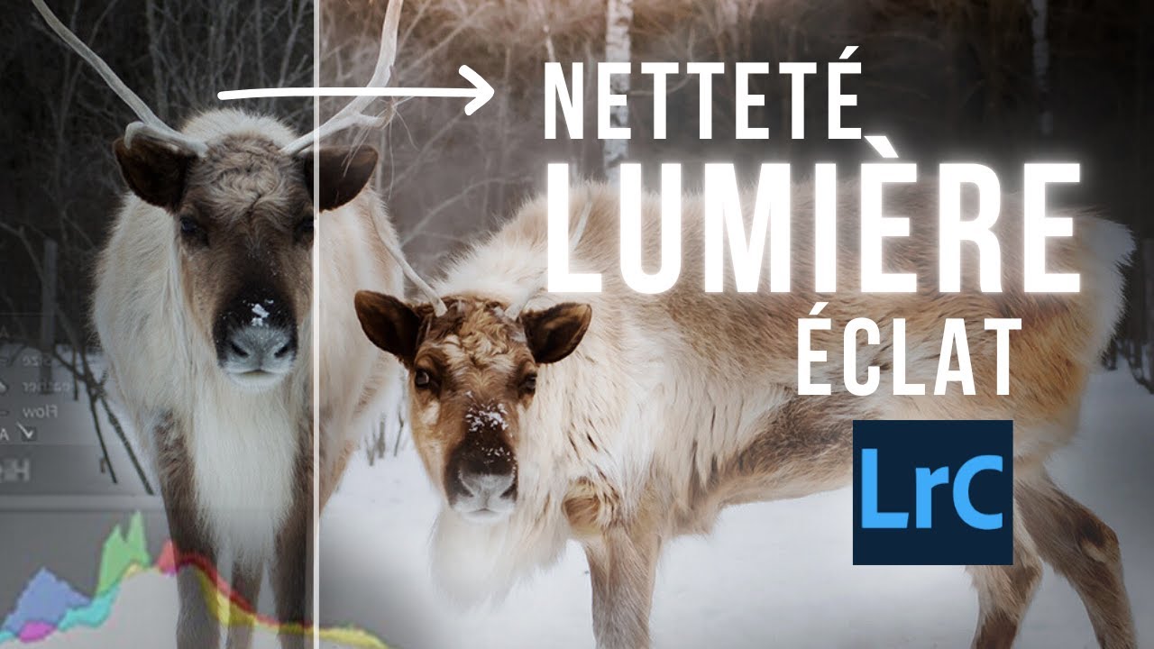 3 outils Lightroom que personne ne t’explique (et qui changent tout)