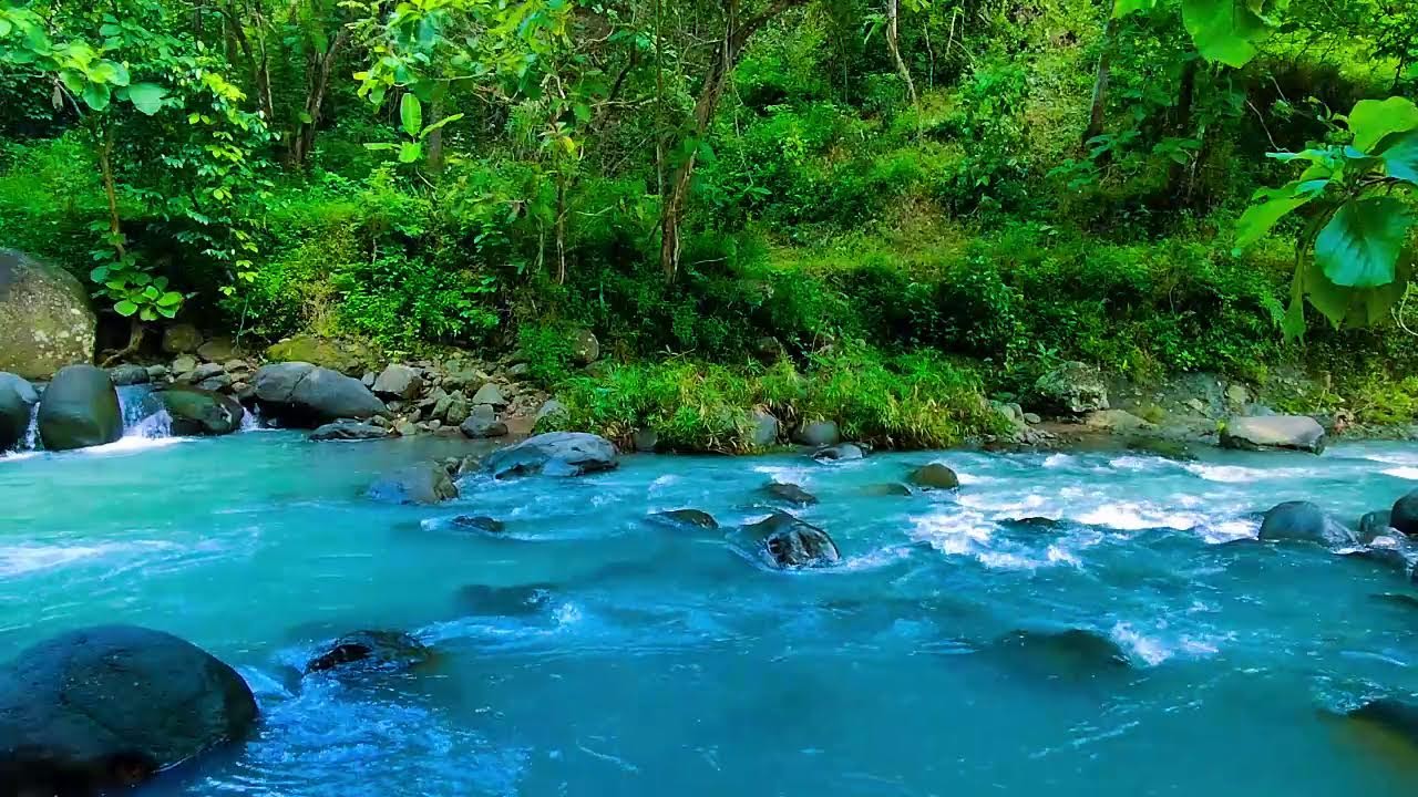 Nature's Calm - Sleep Like a Baby – This Forest Stream Sound Is a Total Game Changer - Deep Sleep
