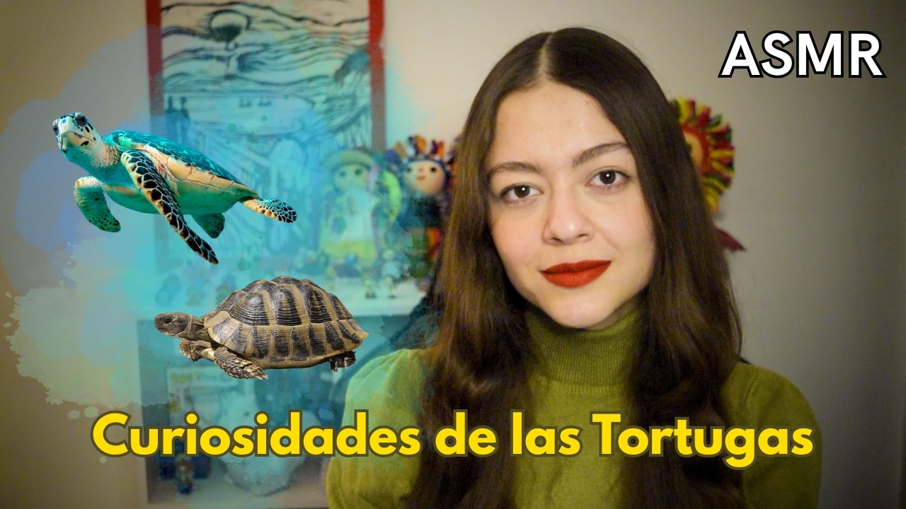 ASMR 50 Curiosidades de las tortugas que no conocías 🐢❤️