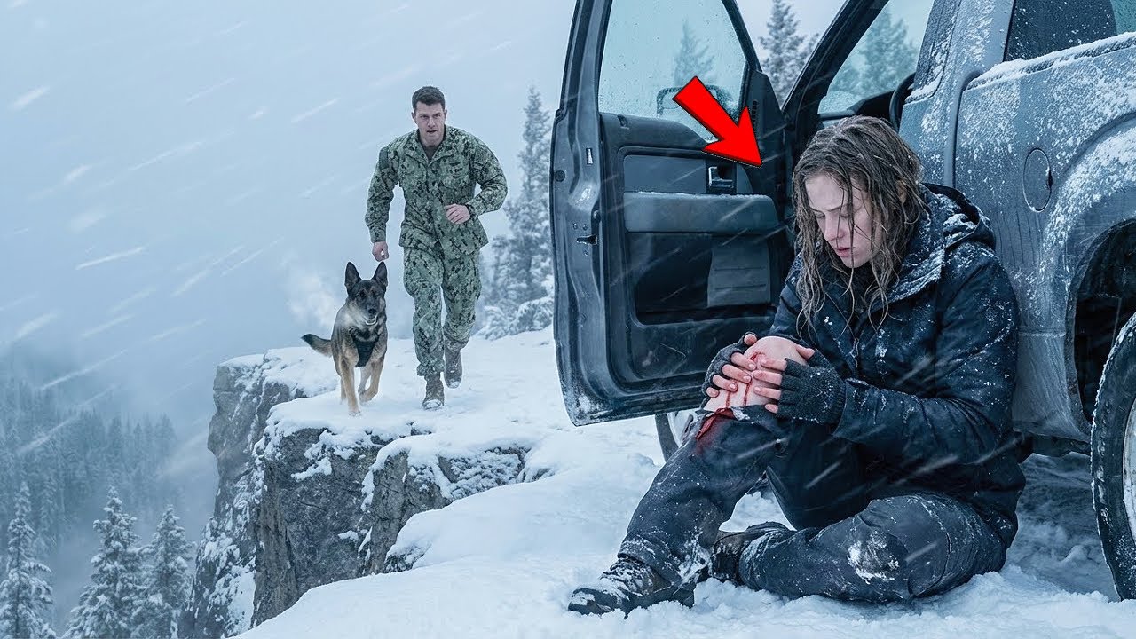 A Navy SEAL and His K9 Saved Her in a Blizzard — What She Brought Back Changed Everything