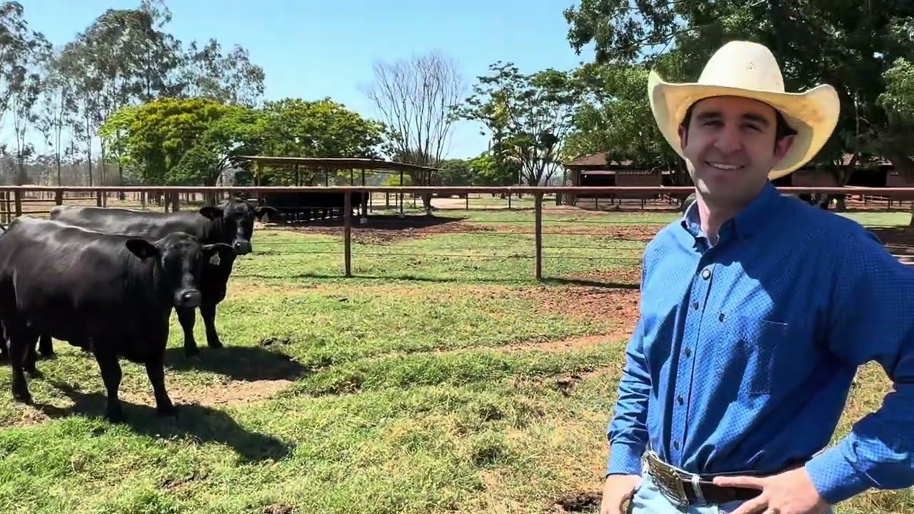 Visita ao criatório VPJ 2025 - QUARTO DE MILHA, ABERDEEN ANGUS, BRANGUS E ULTRABLACK
