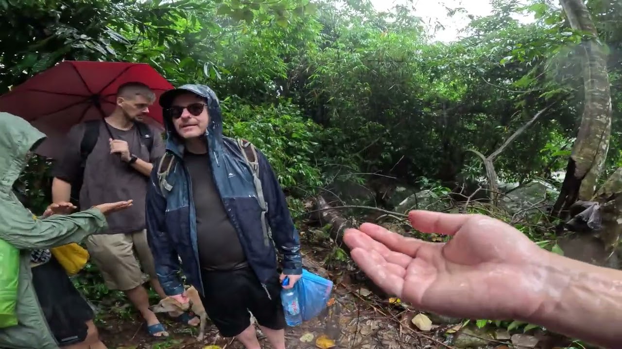 베트남 버팔로 헤드 등산! 🇻🇳 | Hiking Buffalo Head in Vietnam