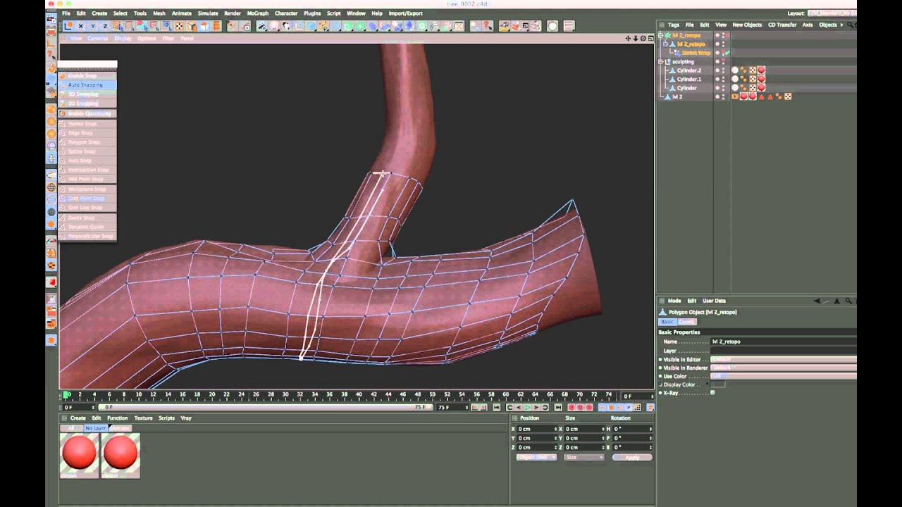 Sculpting and retopo of a Tree with CINEMA 4D R14