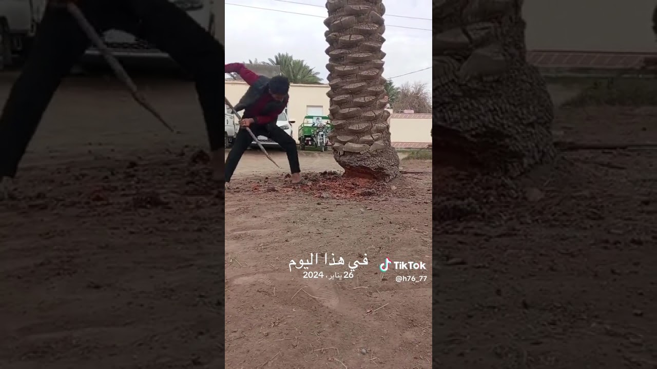 ٢٩ كانون الثاني، ٢٠٢٦