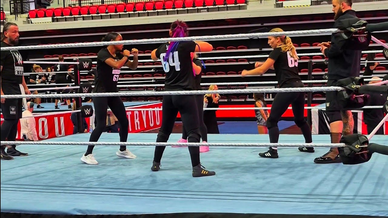 This Is What It Takes To Be A WWE Wrestler | WWE Tryout Experience VIP Exclusive 