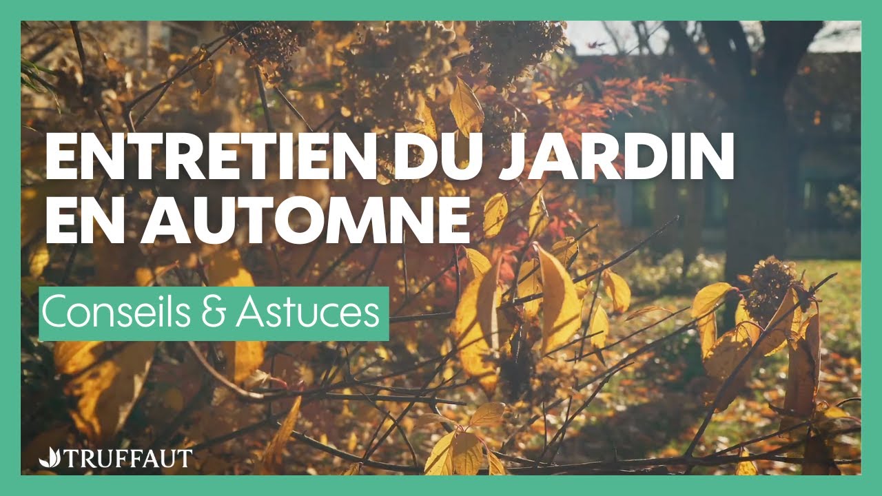 Comment entretenir son jardin &agrave; l'automne ? - Truffaut