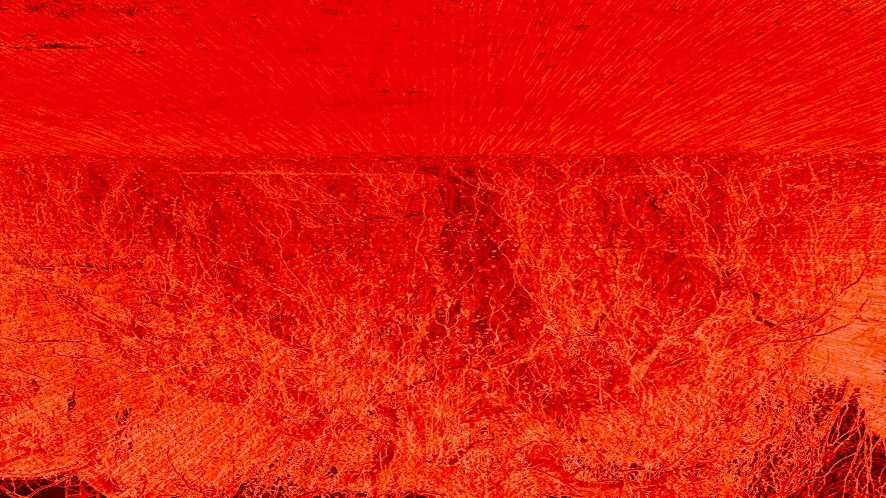 Levito Saro - Star Blast