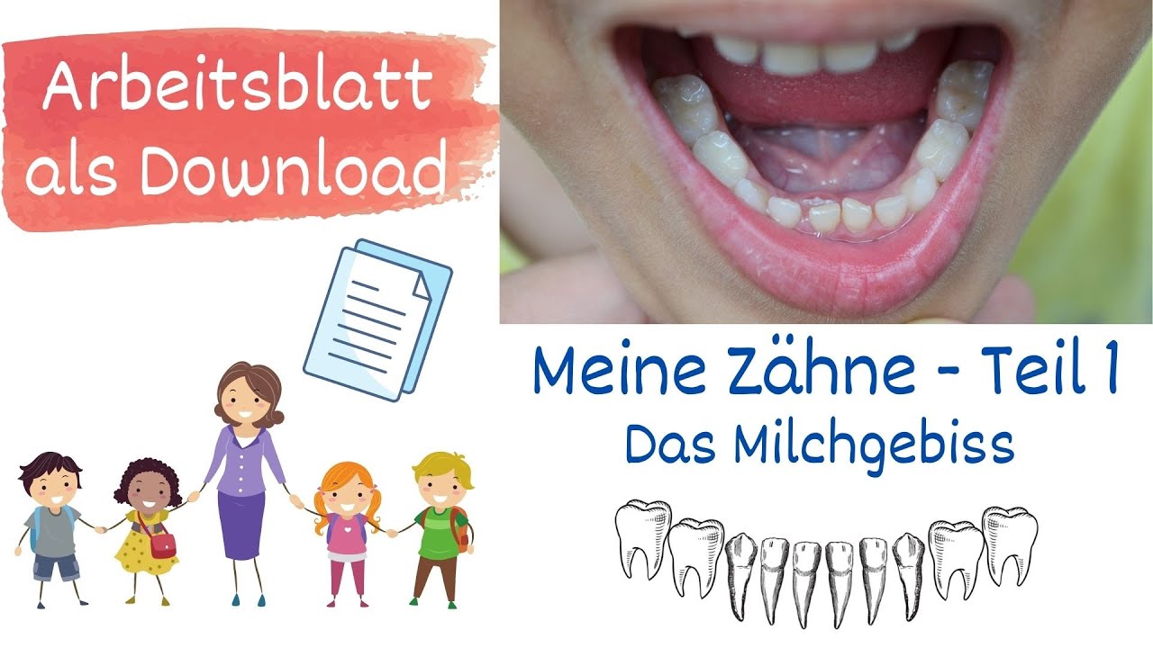 Meine Z&auml;hne Teil 1 - Das Milchgebiss, Sachunterricht Grundschule - mit Arbeitsblatt