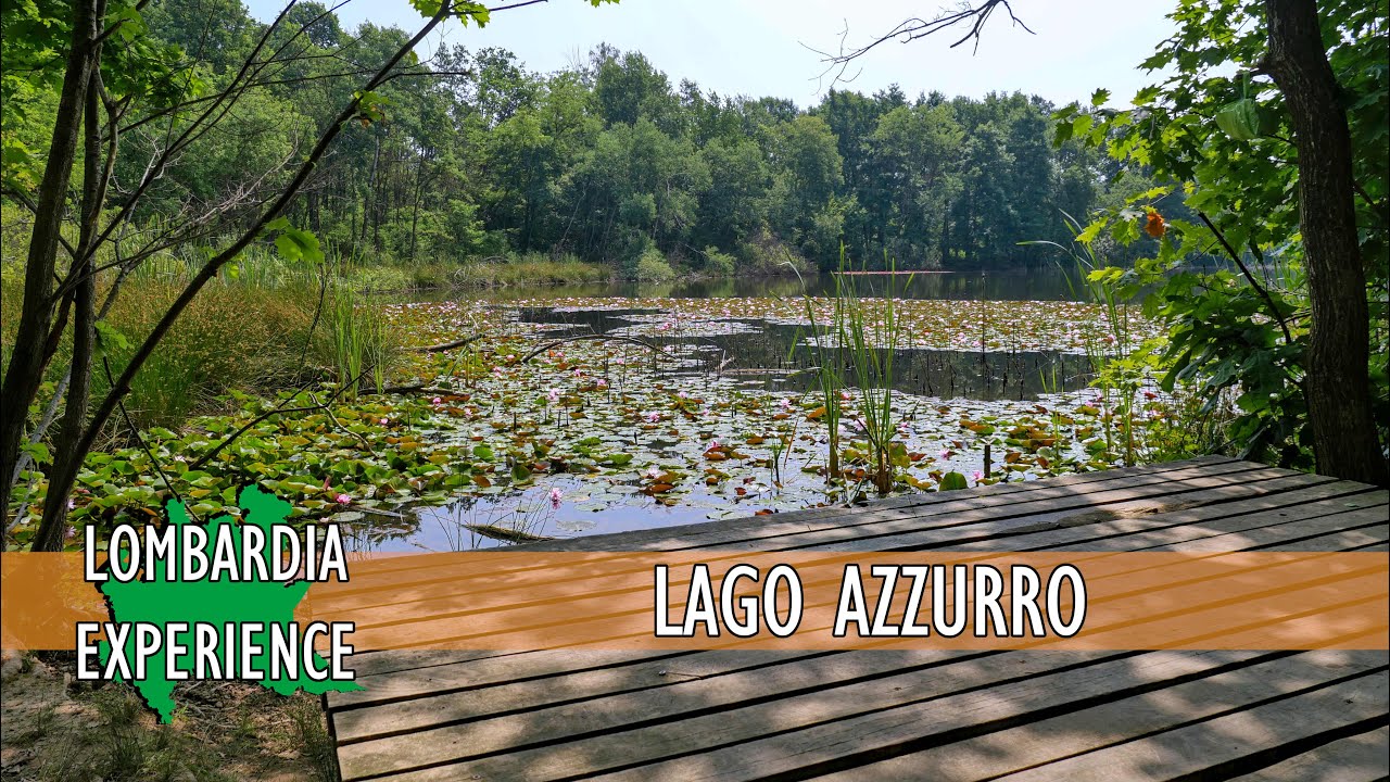 LENTATE SUL SEVESO: la fioritura delle ninfee colorate nel Parco della Brughiera Briantea
