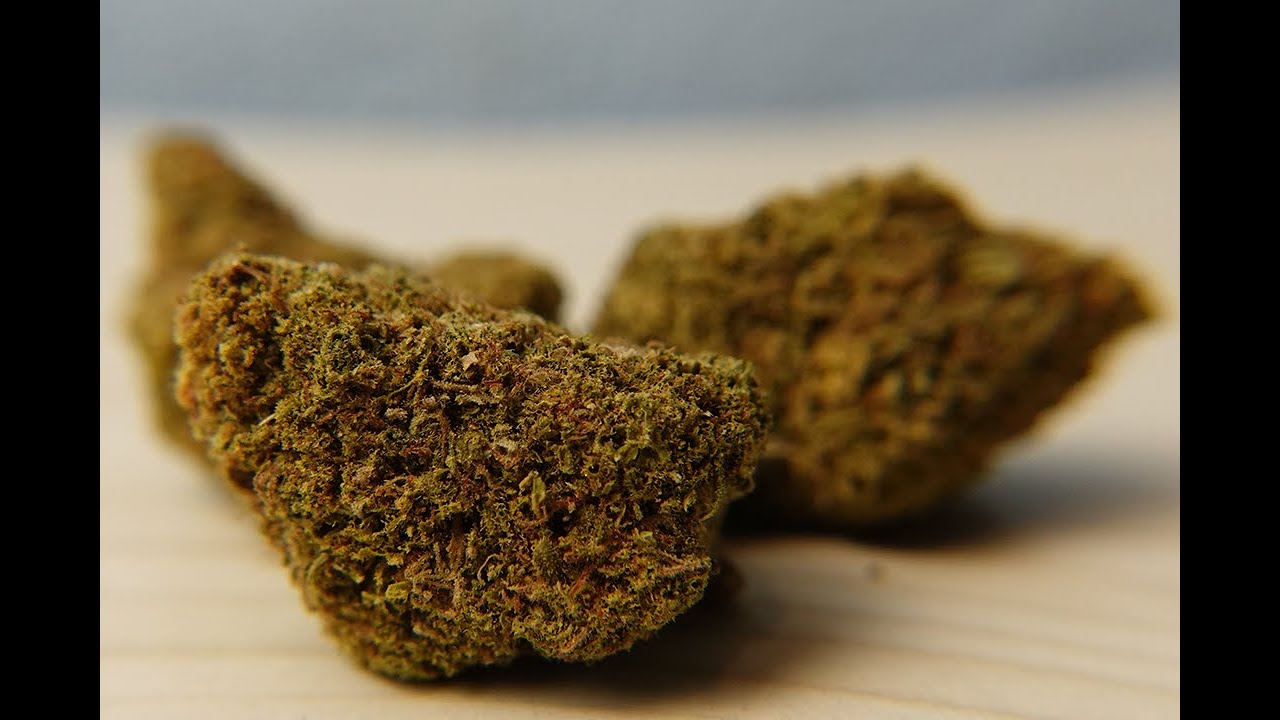 Zombie Hash Plant Strain Review