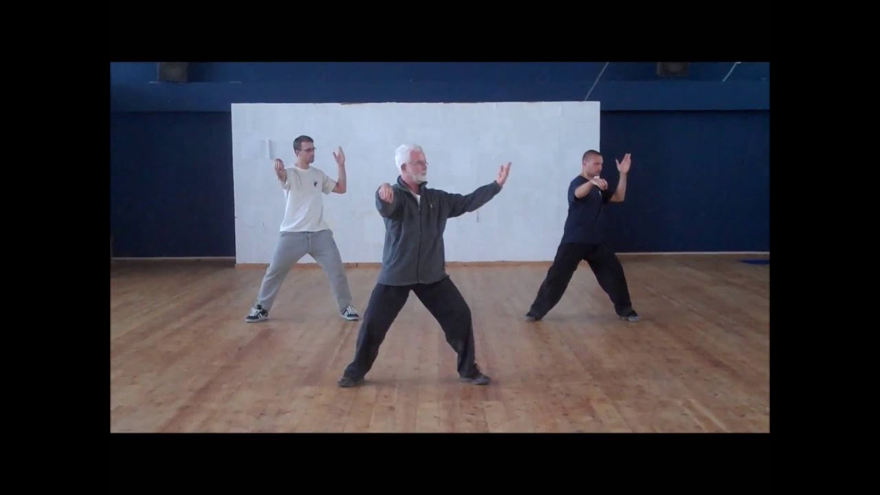 Wudang Tai Chi Chuan (Cheng Tin Hung/Dan Docherty) short form - טאי צ'י