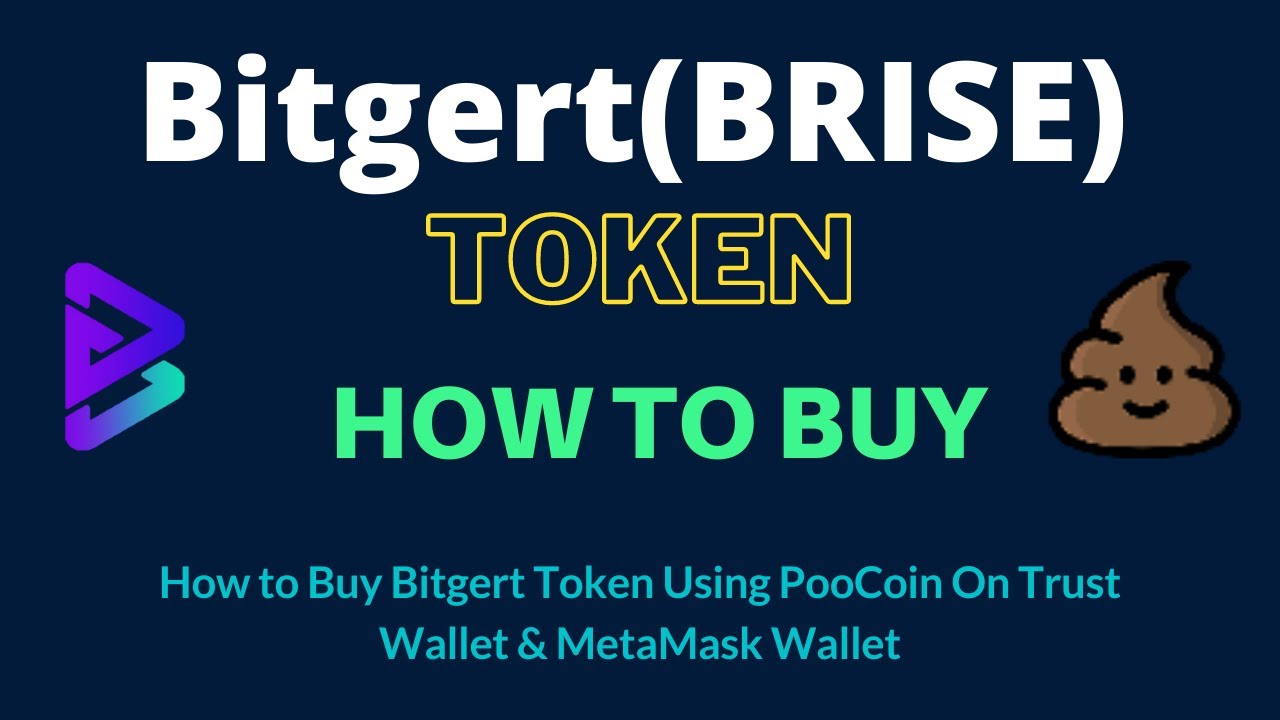 How to Buy Bitgert Token (BRISE) Using PooCoin On Trust Wallet OR MetaMask Wallet