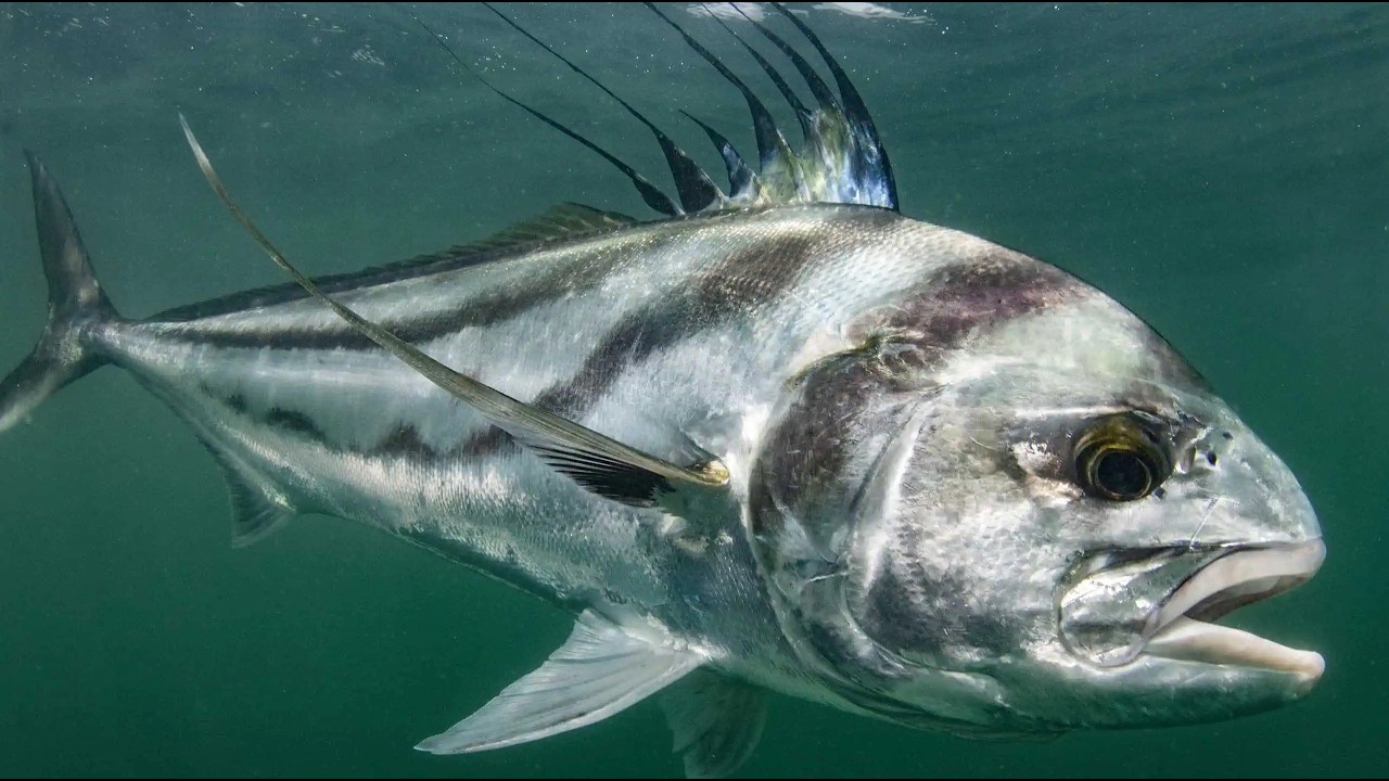Bucket List Fishing Trips | Adventure Starts Here.