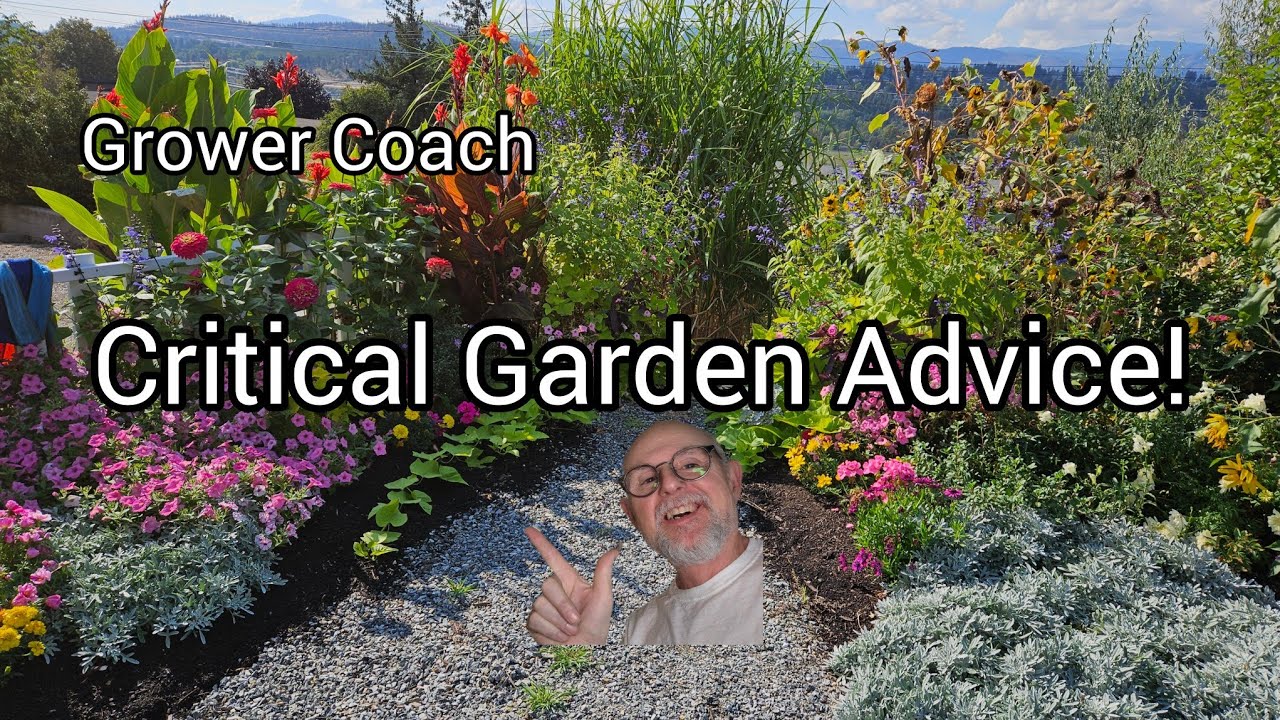 Right Plant Right Place Landscaping Tips!