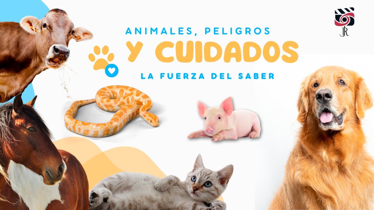 LA FUERZA DEL SABER - CAPÍTULO 12 ‎| ‎GATOS, PERROS Y SERPIENTES, CON LA DRA ELIZABETH CONTRERAS