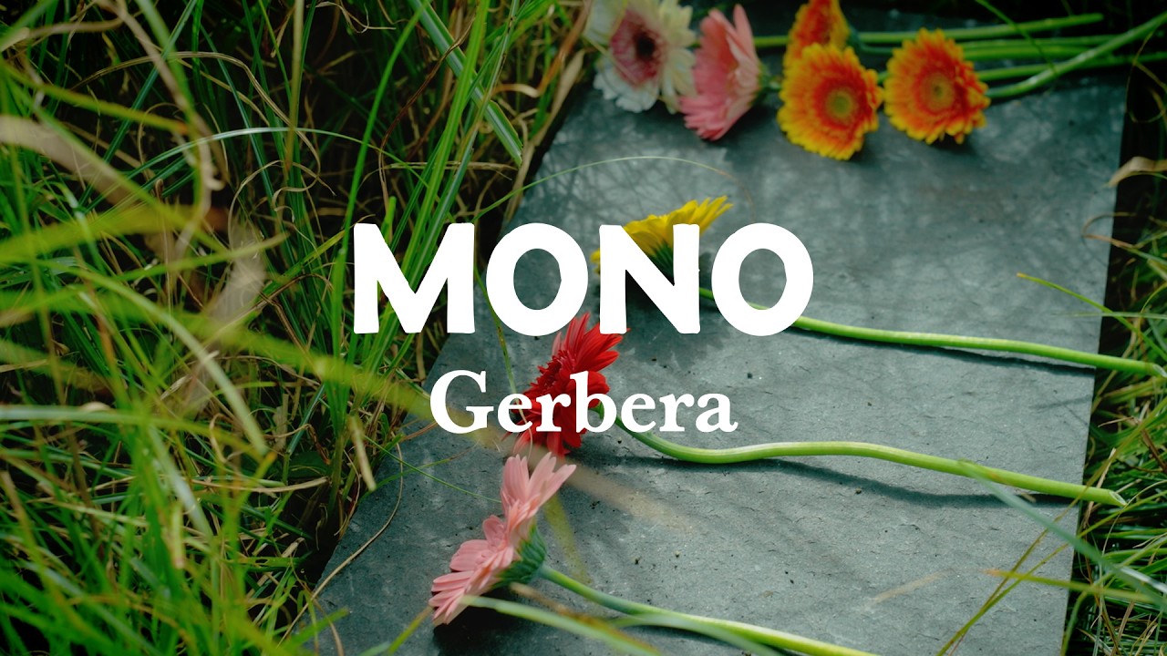 MONO - Gerbera (Official Video)