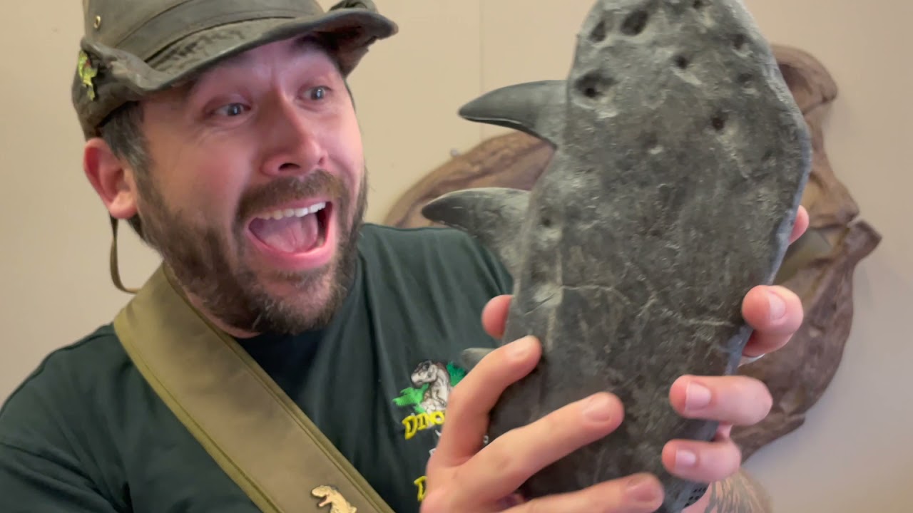 What did we find in the Prehistoric store?