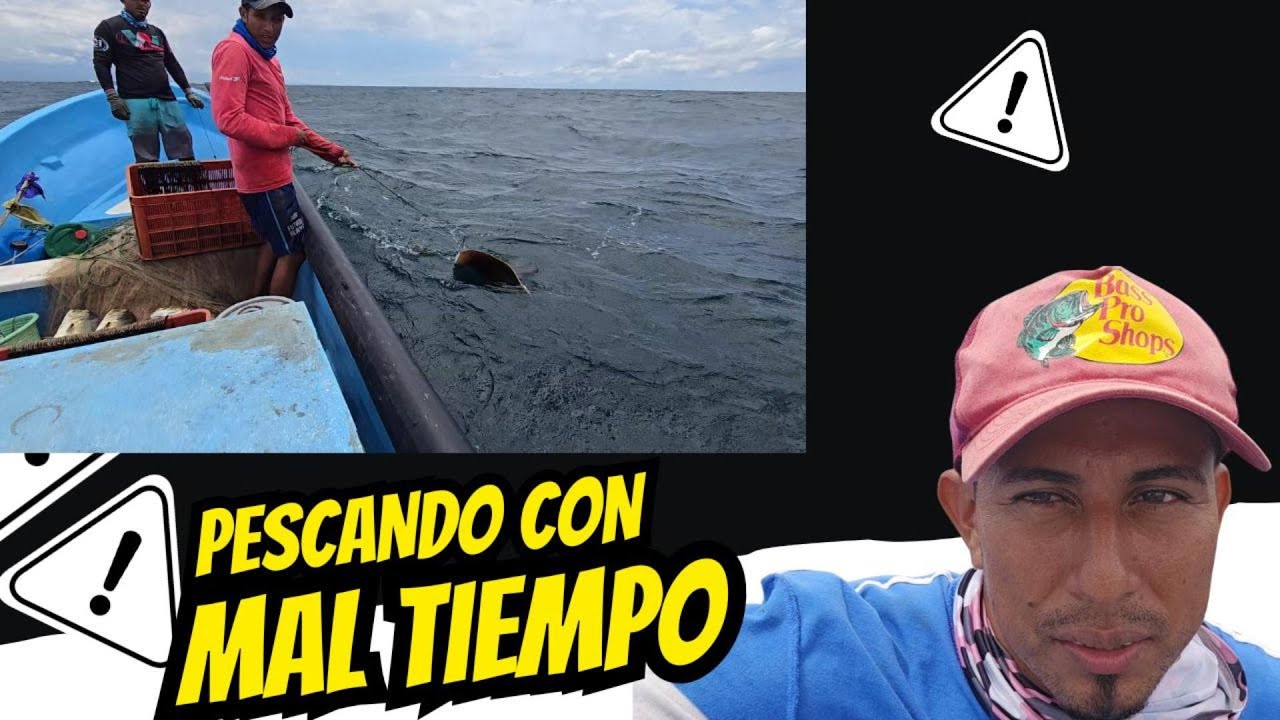 Miren lo que nos Trajo el Mal Tiempo