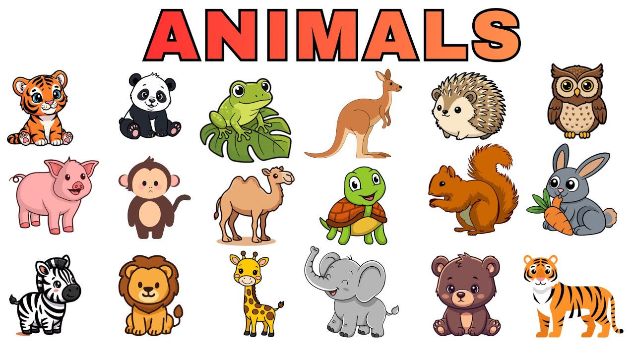 20 Animals Names for Kids | Animals Names for baby